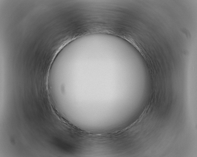 X0000115650579200911101118