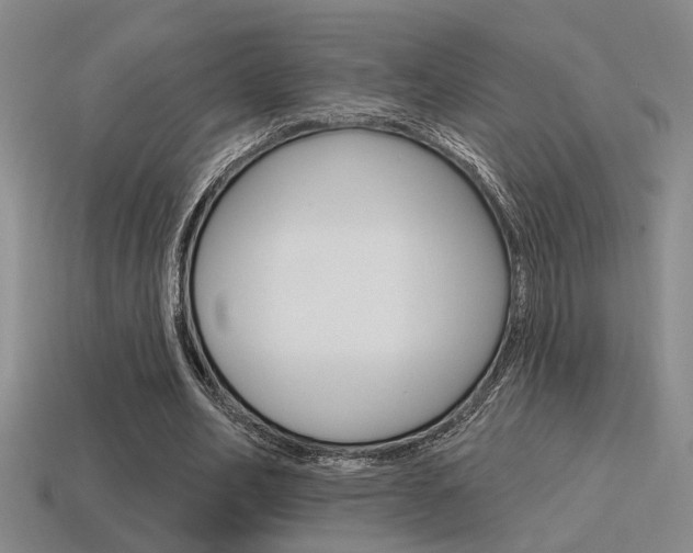 X0000115650582200911101118