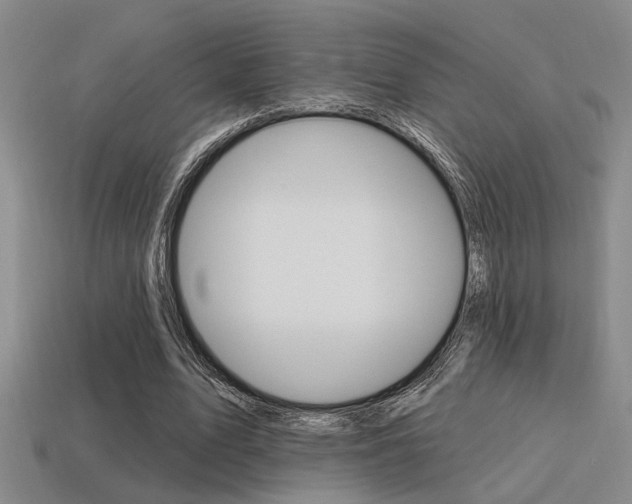 X0000115650583200911101118