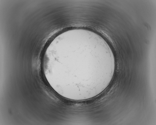 X0000115650584200911101118
