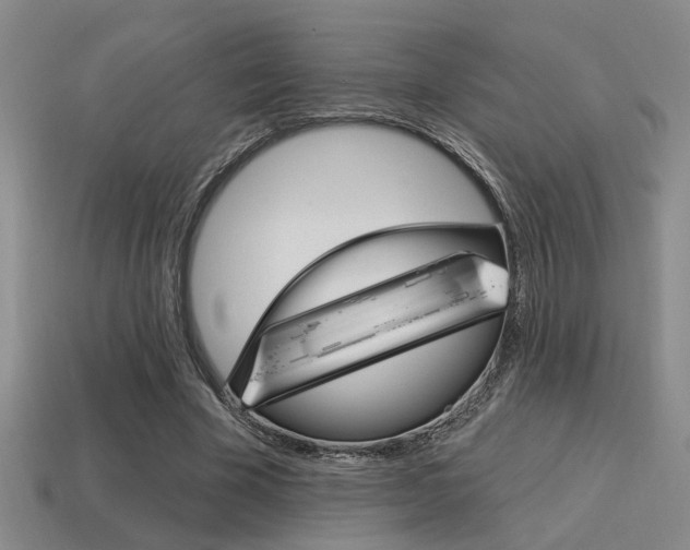 X0000115650585200911101118
