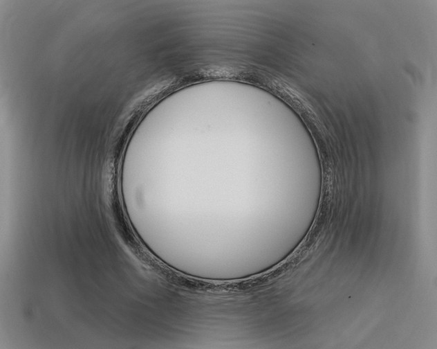 X0000115650586200911101118