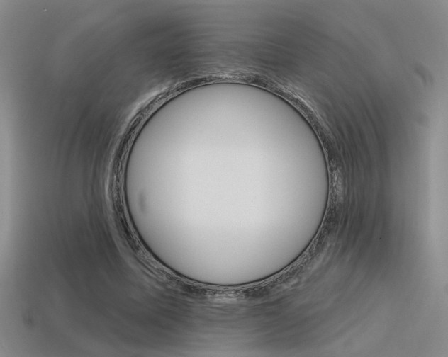 X0000115650587200911101118