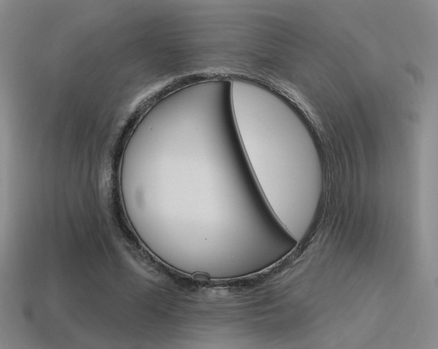 X0000115650588200911101118