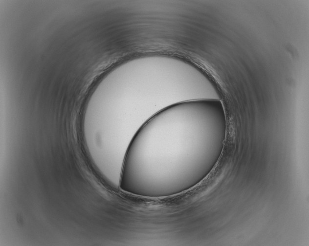 X0000115650589200911101118