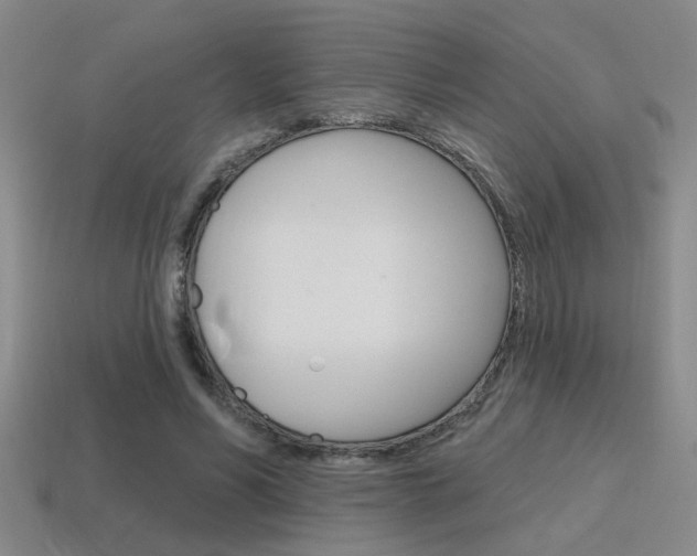 X0000115650590200911101118