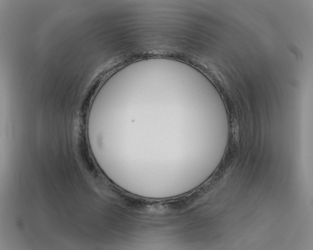 X0000115650591200911101118