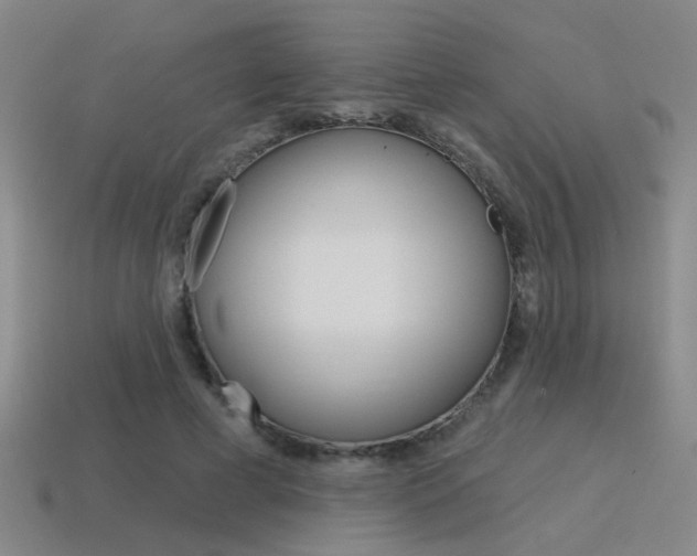 X0000115650593200911101118