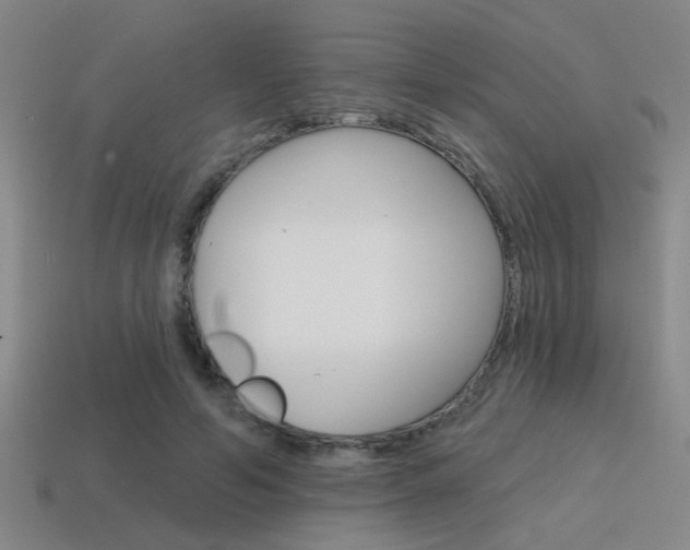 X0000115650594200911101118