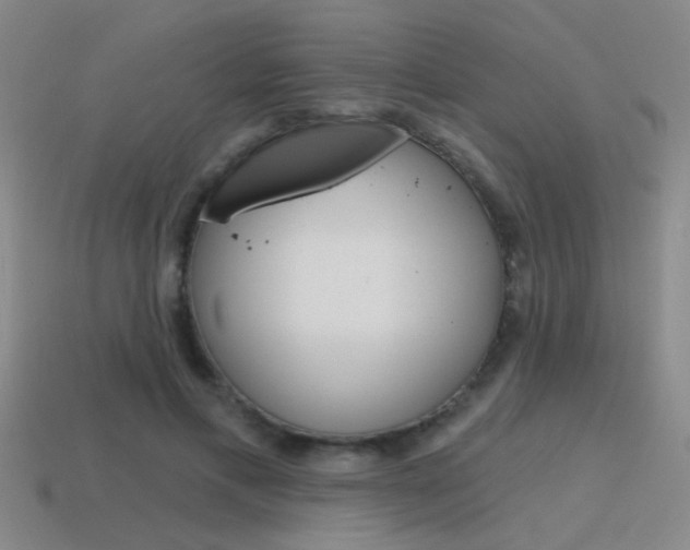 X0000115650597200911101118