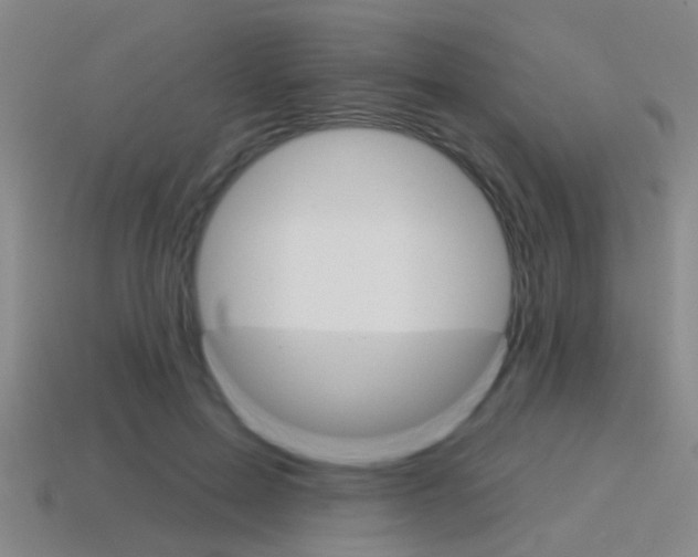 X0000115650599200911101118