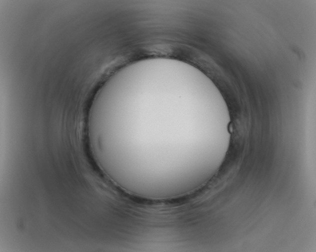 X0000115650600200911101118