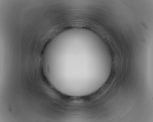 X0000115650601200911101118