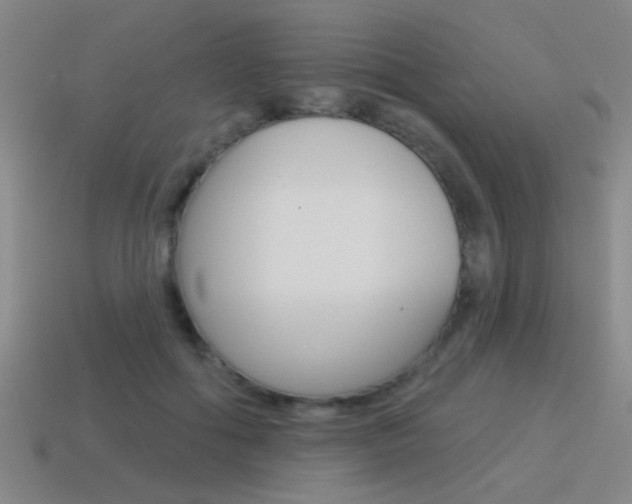 X0000115650602200911101118