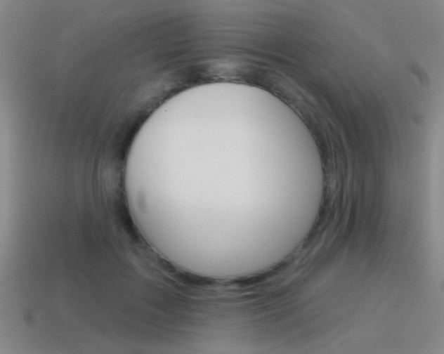 X0000115650603200911101118