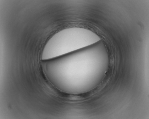 X0000115650605200911101118