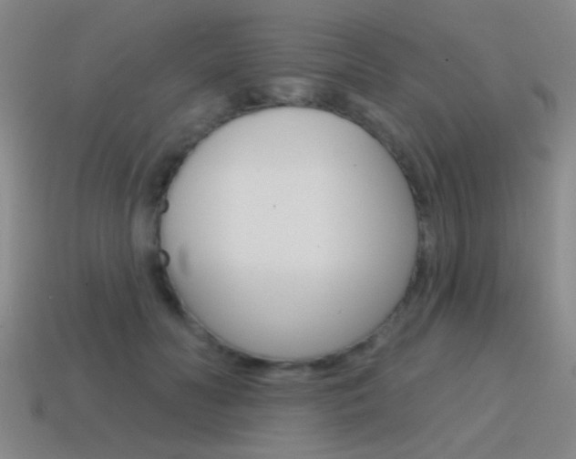 X0000115650606200911101118