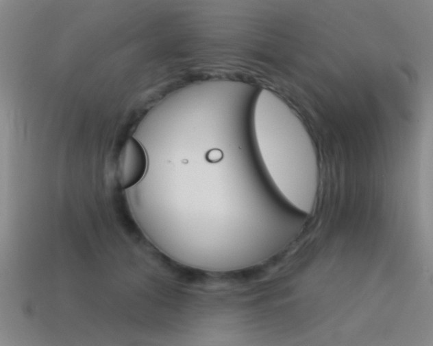 X0000115650608200911101118