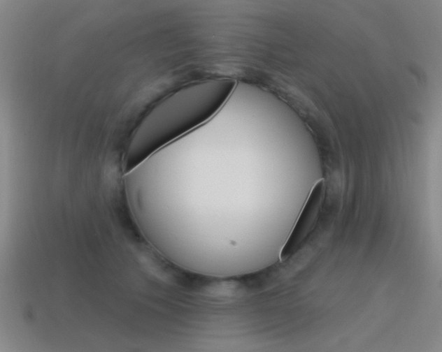 X0000115650609200911101118