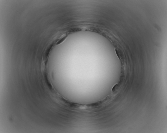 X0000115650611200911101118