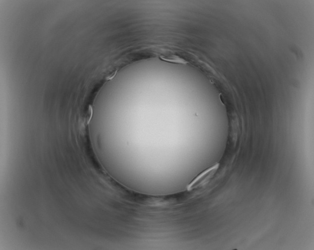 X0000115650613200911101118
