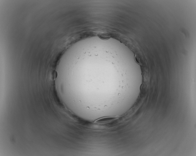 X0000115650614200911101118