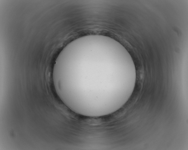 X0000115650615200911101117