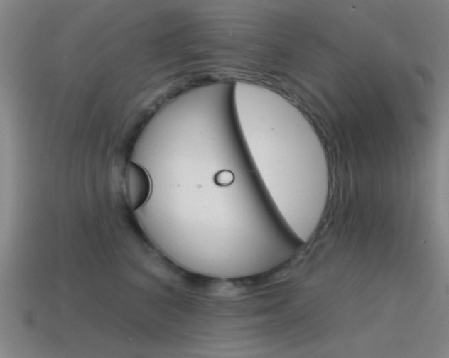 X0000115650616200911101117