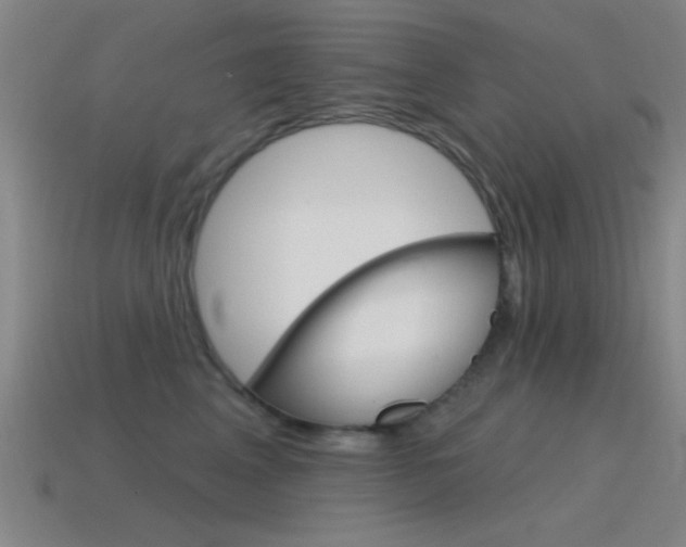 X0000115650617200911101117