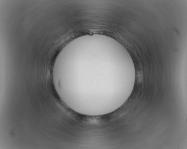 X0000115650618200911101117