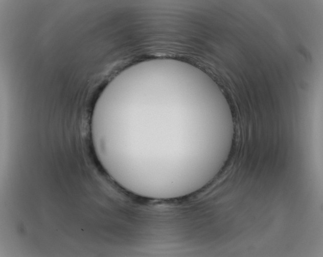 X0000115650620200911101117