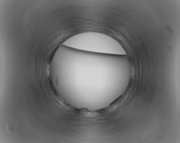 X0000115650621200911101117
