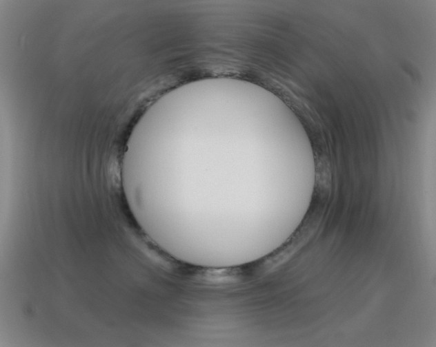 X0000115650622200911101117