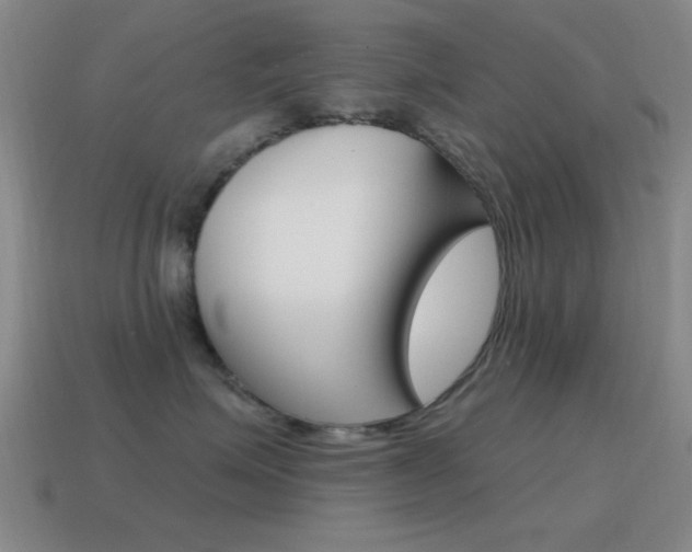 X0000115650623200911101117