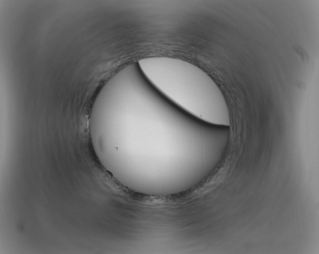 X0000115650624200911101117