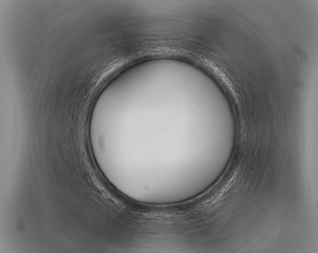 X0000115650625200911101117