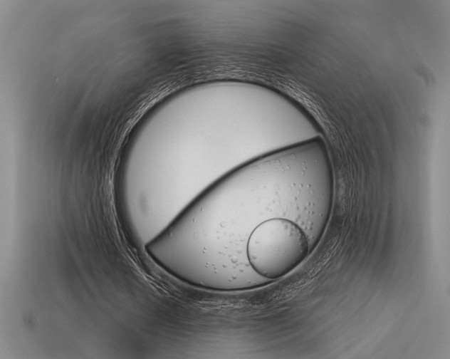 X0000115650626200911101117
