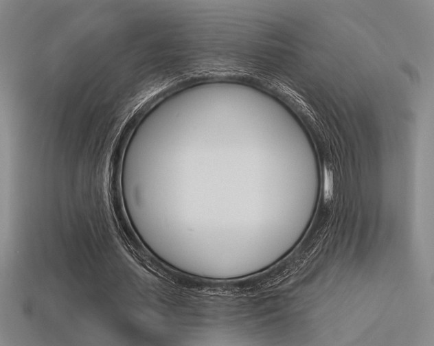 X0000115650627200911101117