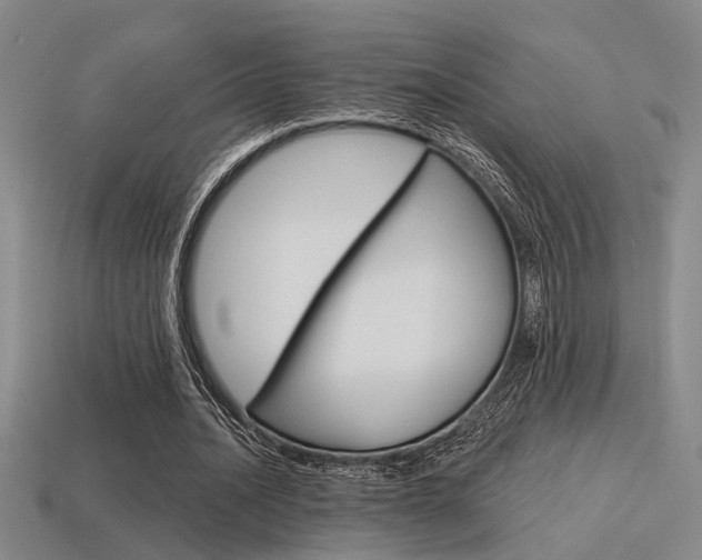 X0000115650628200911101117