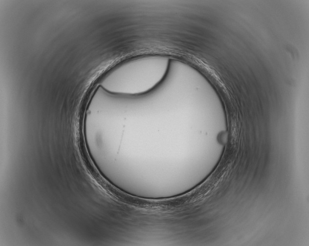 X0000115650629200911101117