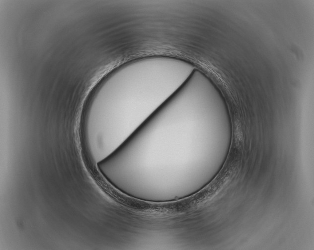 X0000115650630200911101117