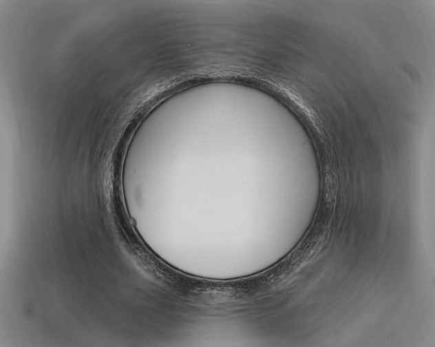 X0000115650631200911101117