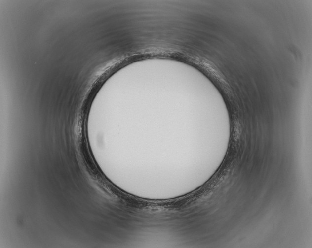 X0000115650632200911101117