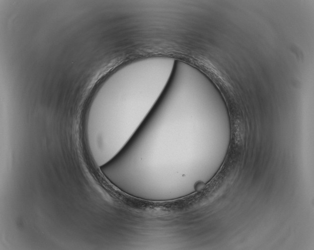 X0000115650634200911101117