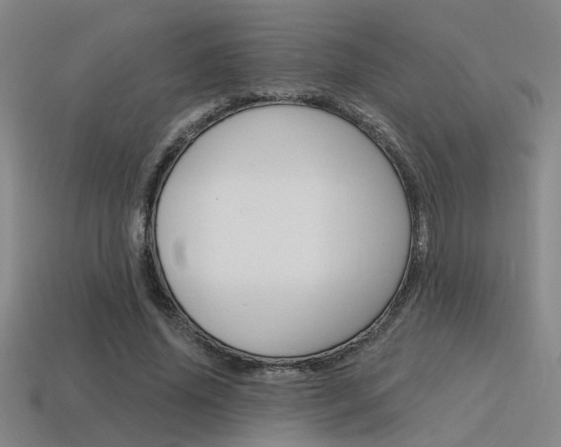 X0000115650636200911101117