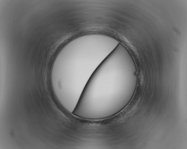 X0000115650637200911101117
