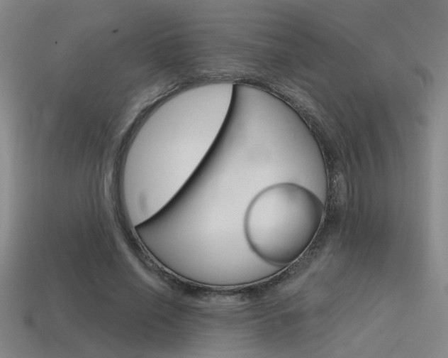 X0000115650638200911101117