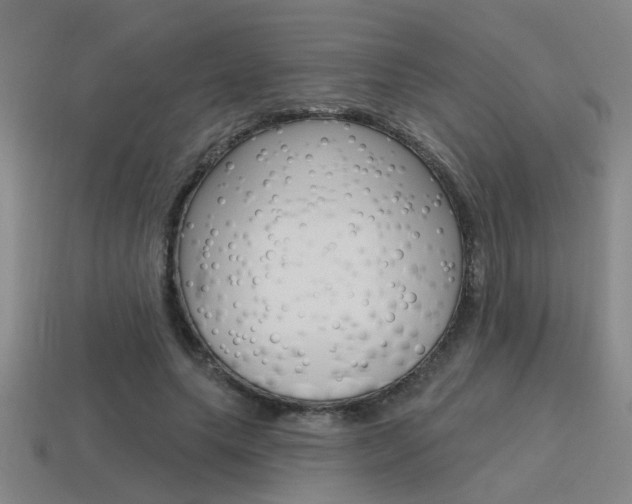 X0000115650639200911101117