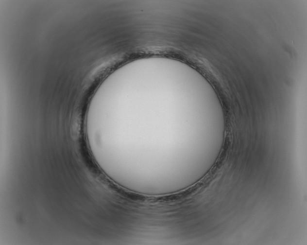 X0000115650640200911101117