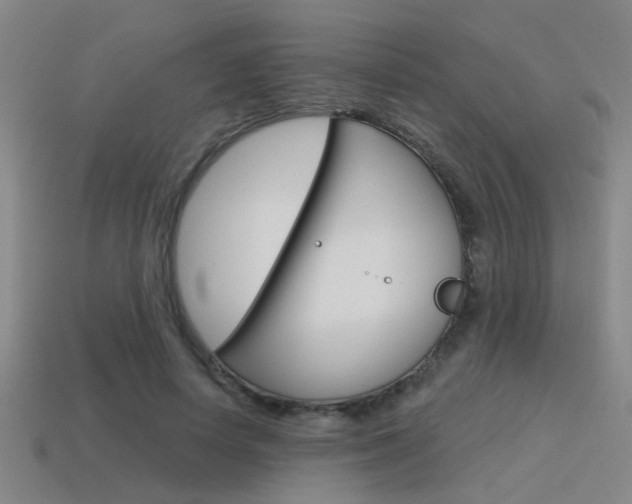 X0000115650642200911101117